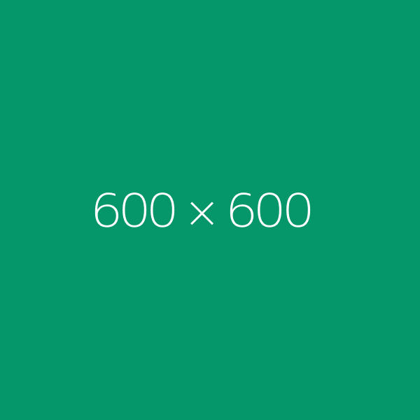 Çelik Termos 500ml
